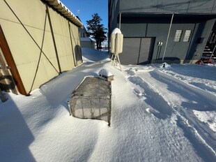 当別駅 徒歩10分 1階の物件外観写真